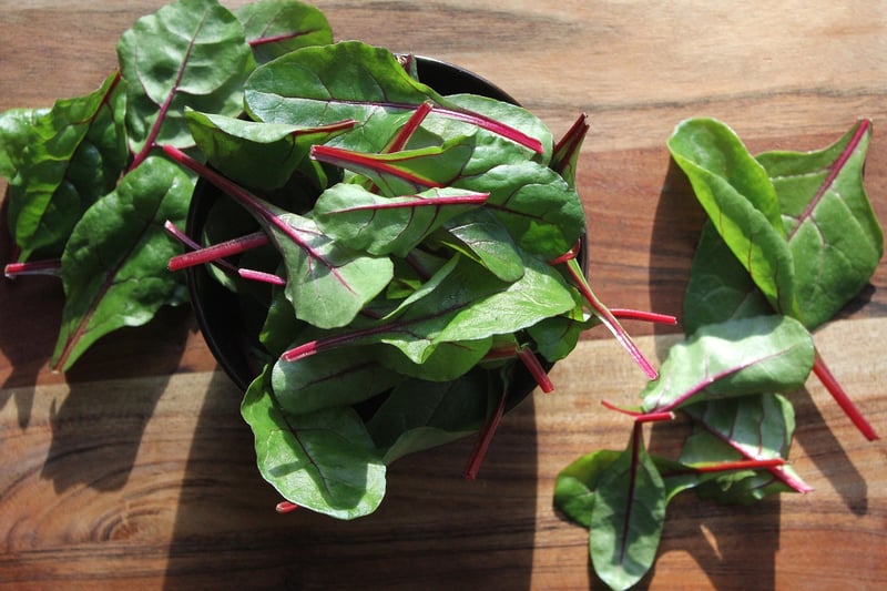 Colorful Salad